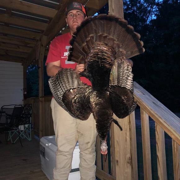 Meet your Posher, Thomas - Picture 1 of 1